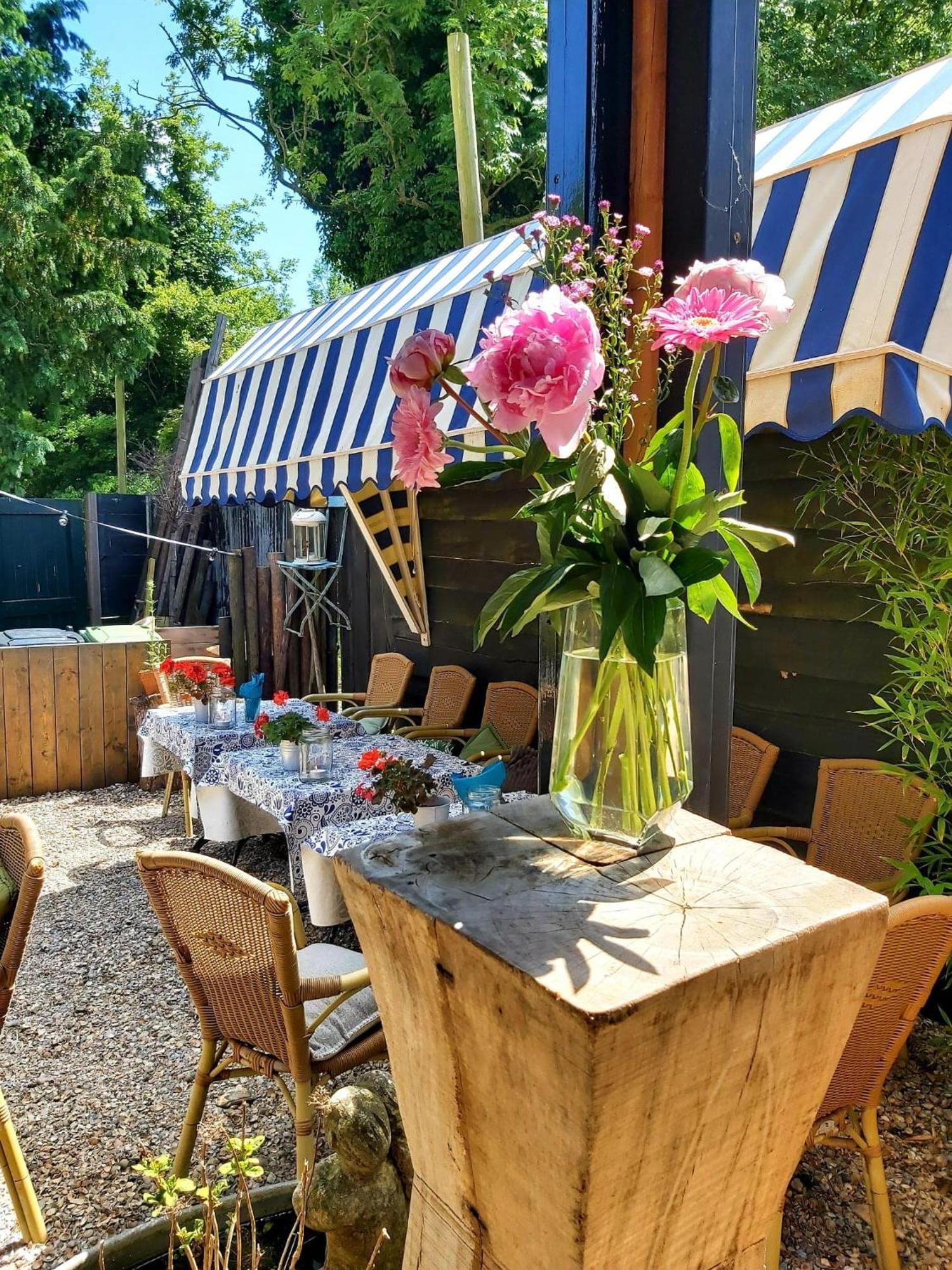 Appartement Slapen Op 77 à Nieuwe-Niedorp Extérieur photo